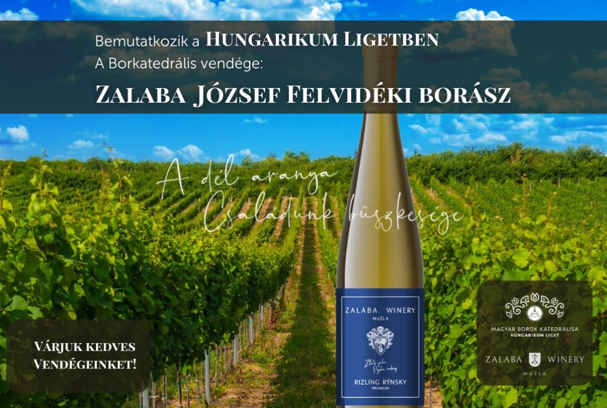 Zalaba József - Felvidéki borász borestje a Borkatedrálisban