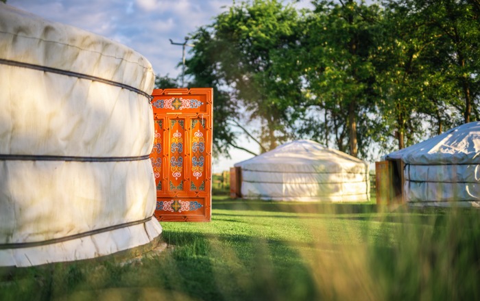 Yurt Camp