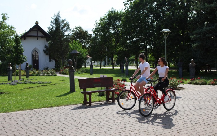 Bike rental